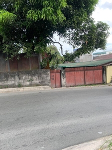 Residential/Commercial Lot Area Property For Sale in Quezon City