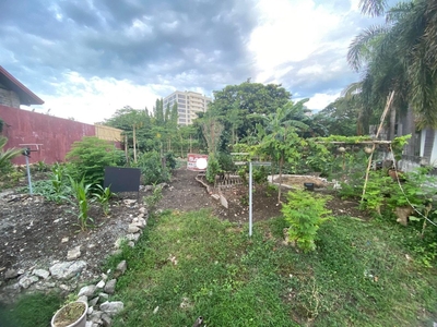 Residential Lot For Sale in Alabang 400, Muntinlupa City