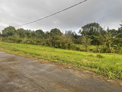 Residential Lot for Sale in Heart of Tagaytay