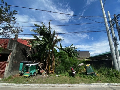 Residential Lot for Sale in Severina KM. 18 Parañaque City
