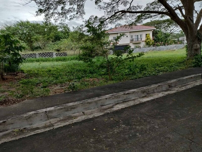 The Orchard Dasmariñas (376 sq. m.) LOT FOR SALE