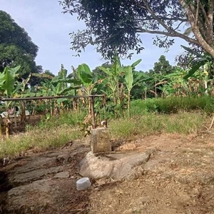 Titled Agricultural Lot For Sale in Pangil, Amadeo, Cavite