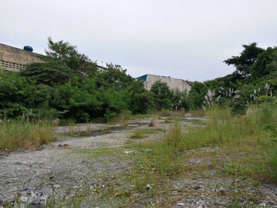 Vacant lot New panaderos street sta. Ana manila for sale