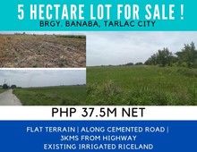 5 hectare lot for Sale in Banaba Tarlac