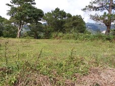 Commercial / Farm Lot for Sale in Baguio City