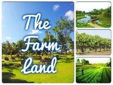 Land for sale in Silang Junction South, Cavite
