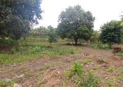 Lot for Sale in Valencia, Negros Oriental. 2 Title 5000 and 4195 sqm
