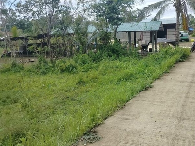 Residential Lot for sale in Sagbayan