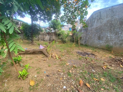 Lot For Sale In Muntingdilaw, Antipolo