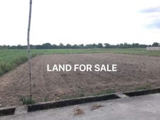 LAND FOR SALE IN CALZADANG BAYU PORAC PAMPANGA!!! Negotiable