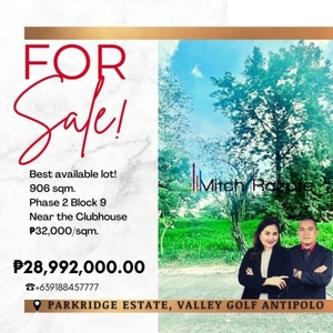 Prime Corner Lot For Sale at Town and Country Estates Valley Golf Antipolo