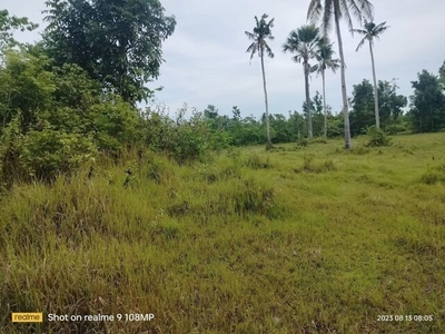 Lot For Sale In Baguhan, Inabanga
