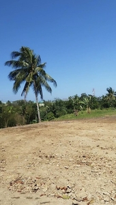 Lot For Sale In Bucal, Amadeo