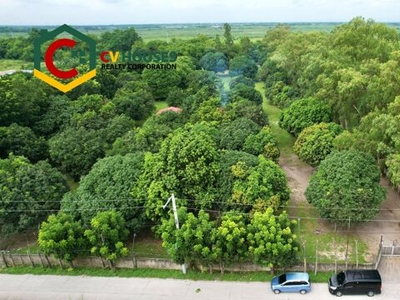 Lot For Sale In Calibutbut, Bacolor