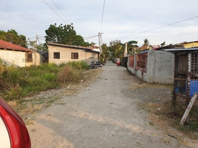 clean title residential lot near univesity of the philippines los banos laguna
