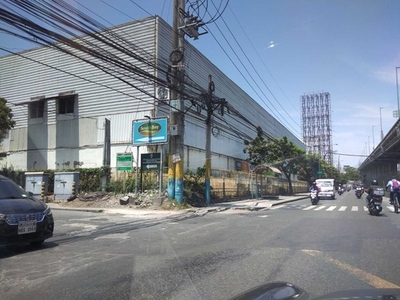 Lot For Sale In Sucat, Muntinlupa