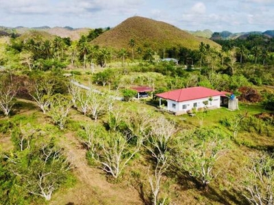 House For Sale In Carmen, Bohol