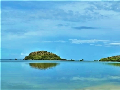 Island for sale 1.5 Hectares Balabugan Isaland in Palawan