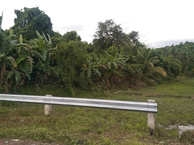 Lot For Sale In San Miguel, Roxas