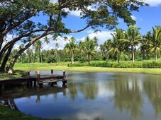 Own Your Own Hacienda Lot in Tiaong, Quezon