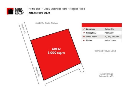 3000 SqM Lot for Sale near Ayala Mall on Carousell