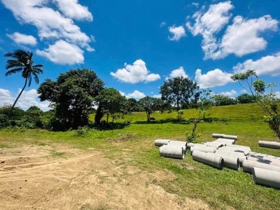 300sqm Cheapest Farm Lot for sale in Alfonso near Tagaytay on Carousell