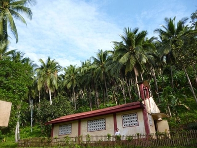 52 Pesos the sqm 9 hectares of agriland for sale Taguan-Pola-Naujan Oriental Mindoro. Clean Title on Carousell