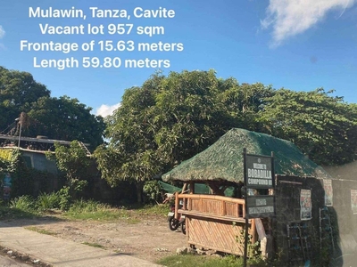 957 sqm Commercial Lot in Mulawin Tanza Cavite for sale on Carousell