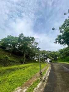 Ayala Westgrove Heights Vacant Lot for Sale on Carousell