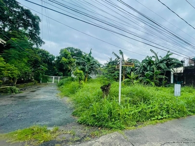 BF Paranaque vacant Lot for Sale on Carousell