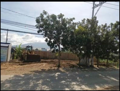 Commercial Lot for Lease in Calamba Barandal Laguna on Carousell