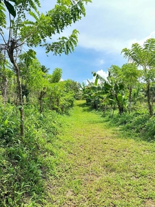 Farm lot for sale in Alfonso on Carousell