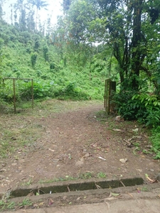 FARM LOT FOR SALE LOCATED AT SAMPALOC TANAY