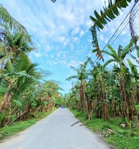 Farm Lot or Residential for Sale in Quezon Province on Carousell