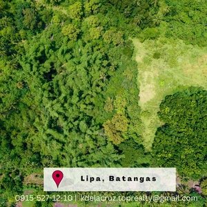 Farm Lot with Animals and Trees for Sale in San Guillermo Lipa