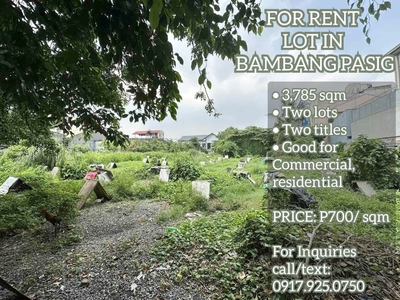 FOR RENT LOT IN BAMBANG PASIG on Carousell