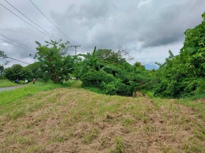 FOR SALE: 2 adjacent luxury eco farm lots at Plantation Hills at Tagaytay Highlands on Carousell