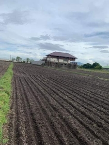 FOR SALE AGRICULTURE FARM LOT IN PORAC PAMPANGA on Carousell