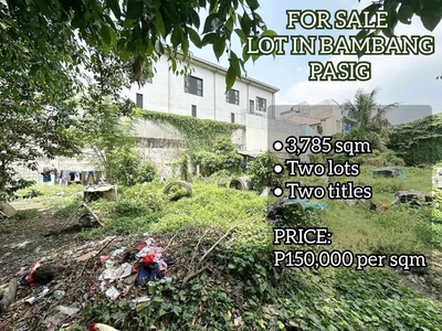 FOR SALE LOT IN BAMBANG PASIG on Carousell