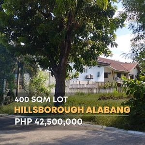 Hillsborough Alabang Village
Vacant lot for sale on Carousell