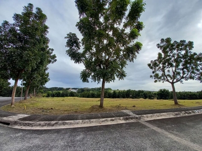 Hottest Buy! 737sqm. Adjoining Corner Lot at the Exclusive Southwoods For Sale on Carousell