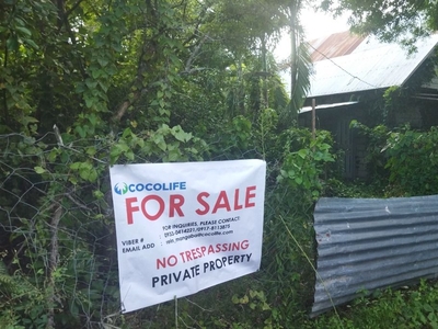 HOUSE & LOT FOR SALE IN NUEVA VIZCAYA on Carousell
