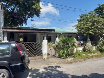 Large size bungalow for sale in Las Piñas on Carousell
