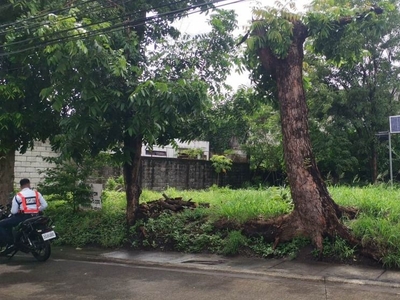 LOT FOR SALE ALABANG 400 NEGOTIABLE on Carousell