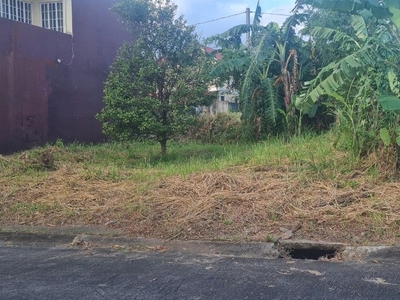 Lot for sale at Vineyard Subd Dasma Cavite on Carousell