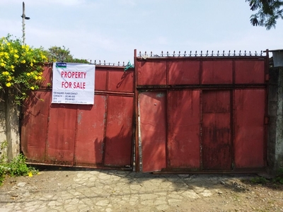 LOT FOR SALE IN BUSTOS BULACAN on Carousell