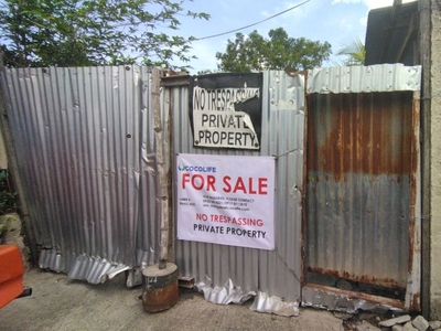 LOT FOR SALE IN CABANATUAN on Carousell