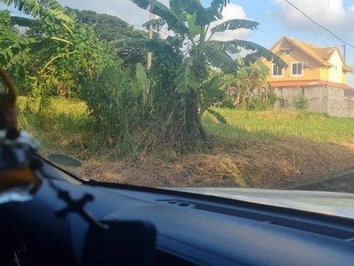 Lot for Sale in Vineyard Dasmarinas on Carousell