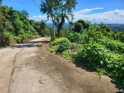 Lot for sale with view of Taal Clean title on Carousell