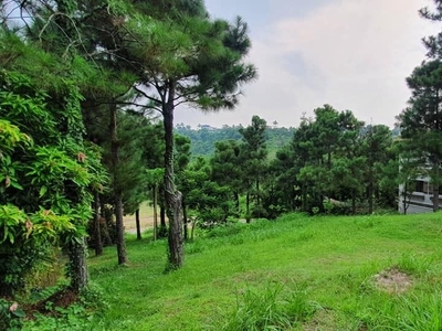Lot in Crosswinds Tagaytay For Sale on Carousell